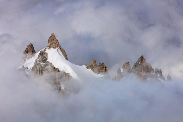 L'essentiel à savoir sur les thés blancs